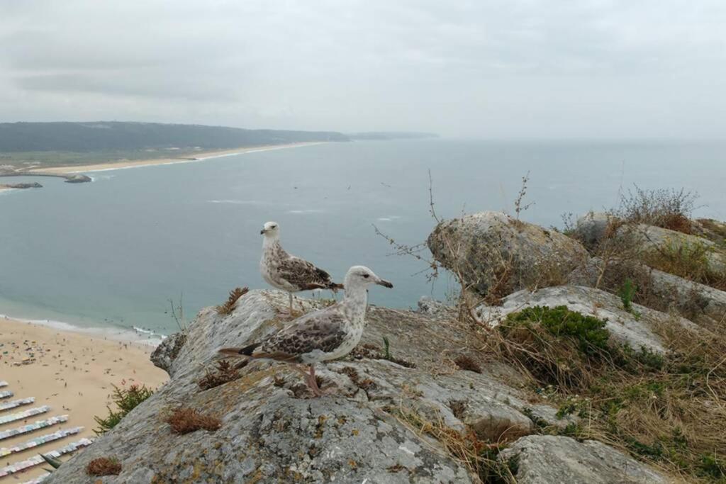 Gino'S House Apartment Nazare Luaran gambar